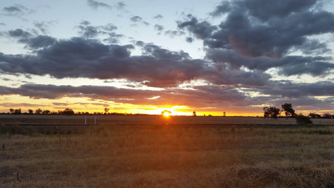 Whispering Pines Farm Stay - Accommodation Burleigh 0