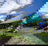 Banksia Green campground - Accommodation Burleigh