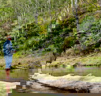 Bass Lodge - Accommodation Burleigh