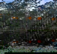 Billabong Retreat - Accommodation Burleigh
