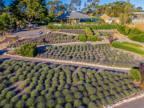 Brayfield Cottage - Accommodation Burleigh 1