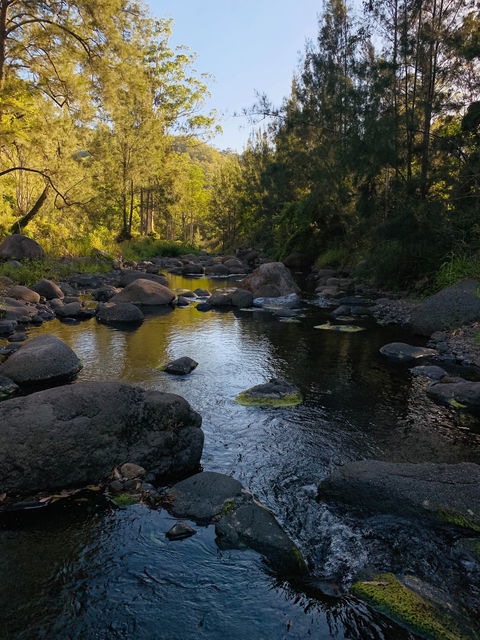 Cave Rock Cottages - Accommodation Burleigh 0
