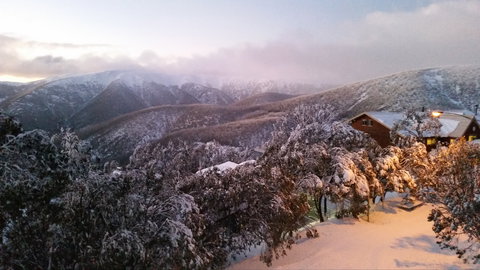 Cedarwood Apartments - Accommodation Burleigh 1