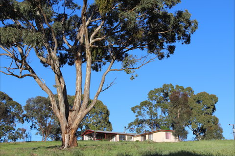 Clare View Accommodation - Clare View Cottage - Accommodation Burleigh 2