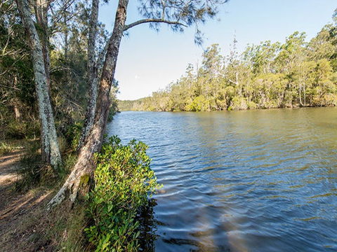 Ferny Creek Campground - Accommodation Burleigh 0