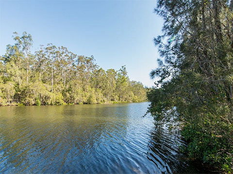 Ferny Creek Campground - Accommodation Burleigh 1