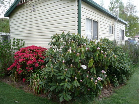 Jenolan Caravan Park - Accommodation Burleigh 0