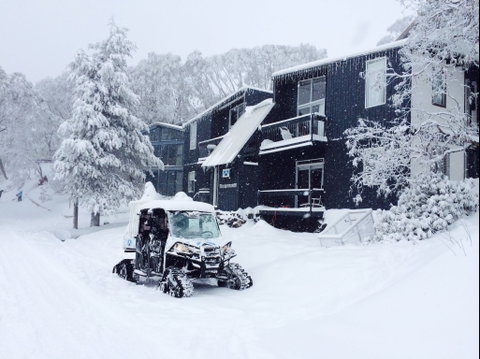 Kilimanjaro Alpine Apartments - Accommodation Burleigh 2