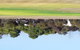 Port Victoria Oval Camping Site - thumb 2