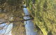 The Old Dairy At Baerami - thumb 1