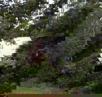 Turkeys Nest Rainforest Cottages Mt Glorious - Accommodation Burleigh