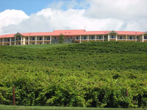 Turners Vineyard Motel - Accommodation Burleigh 0