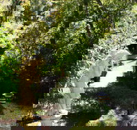 Aldgate Lodge Bed  Breakfast - Accommodation Burleigh