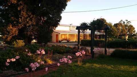 Angas Plains Wines Suites - Accommodation Burleigh 1