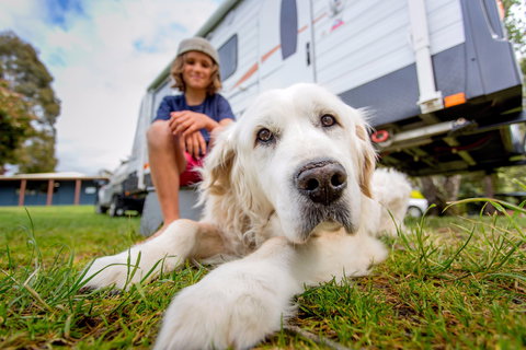 BIG4 St Helens Holiday Park - Accommodation Burleigh 2