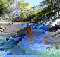 Big4 Aussie Outback Oasis Holiday Park - Accommodation Burleigh