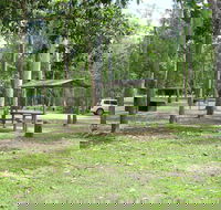 Broadwater camping area Abergowrie State Forest - Accommodation Burleigh