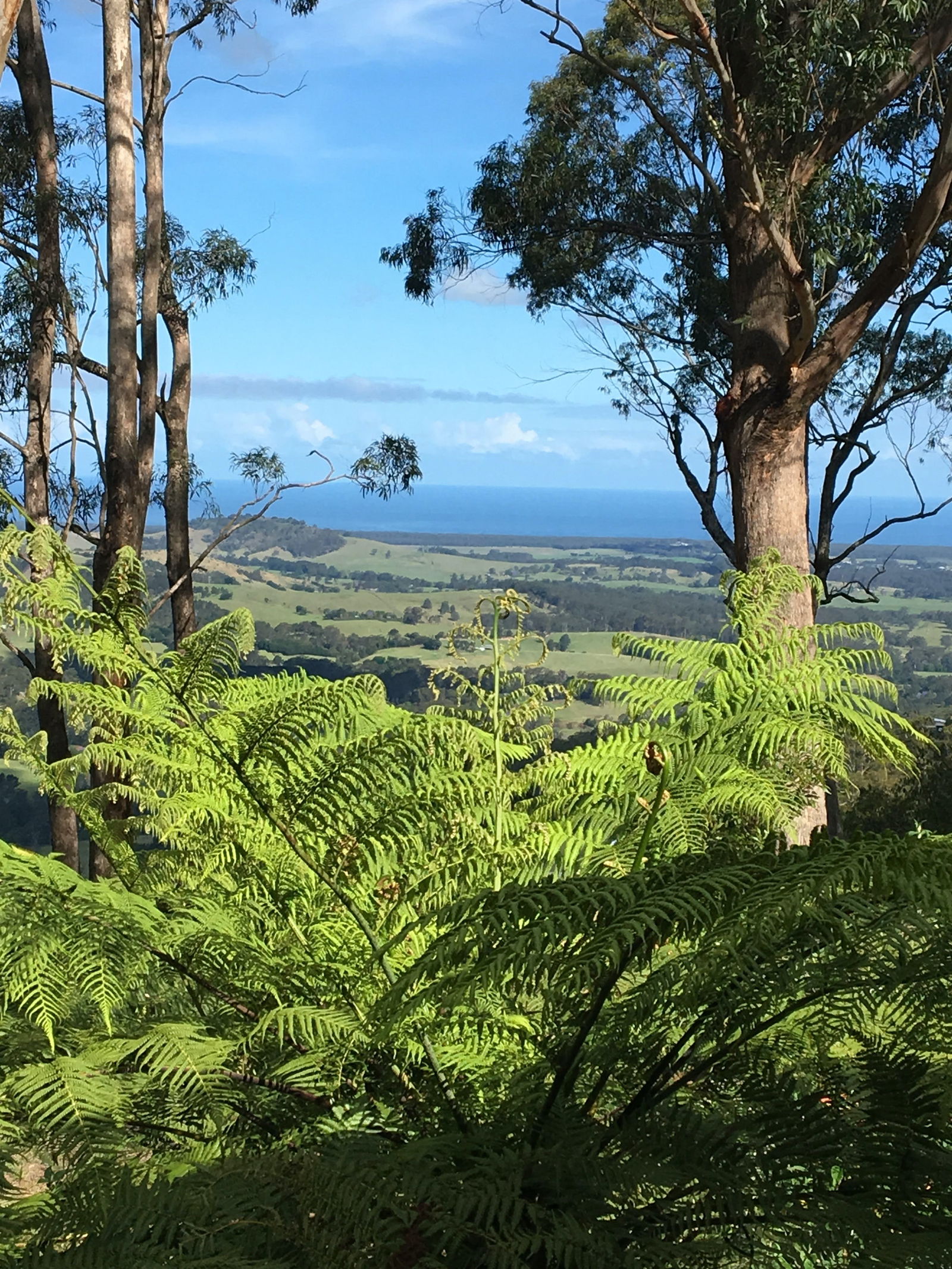 Woodhill NSW Accommodation Burleigh