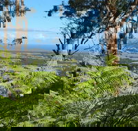 Escarpment - Accommodation Burleigh