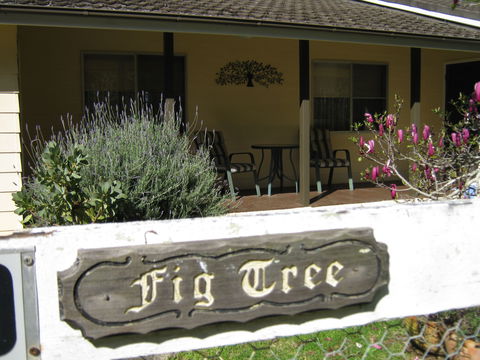Figtree Cottage - Accommodation Burleigh 0