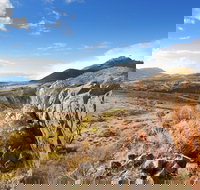 Pichi Richi Park - Accommodation Burleigh