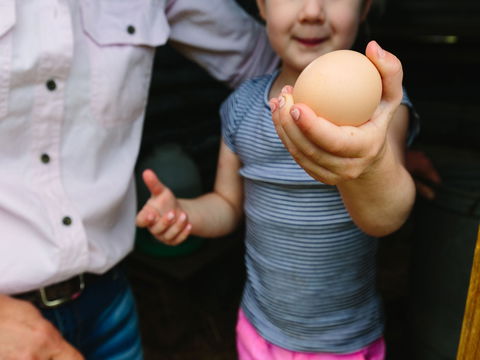 Tommerups Dairy Farmstay - Accommodation Burleigh 1