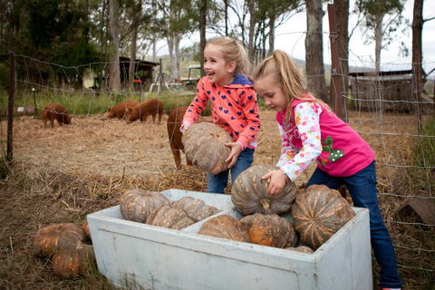 Tommerups Dairy Farmstay - Accommodation Burleigh 2