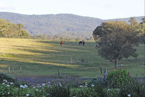 Wallaby Cottage - Accommodation Burleigh 0