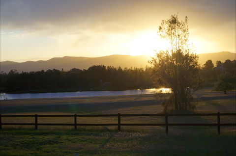 Wilderness Grove Estate - The Cottage - Accommodation Burleigh 2