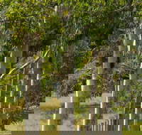 Stringybark Cottages - Accommodation Burleigh