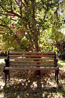 Tara House Bed And Breakfast - Accommodation Burleigh 4