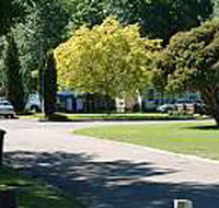 Mitchell Gardens Holiday Park - Accommodation Burleigh