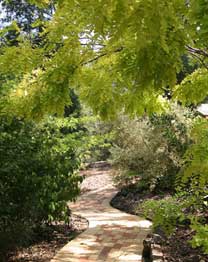 Eagle Hammer Cottages - Accommodation Burleigh 0