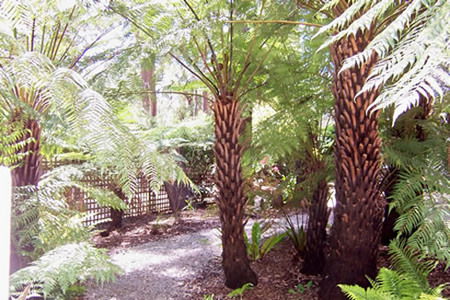 Glenview Retreat - Accommodation Burleigh 2