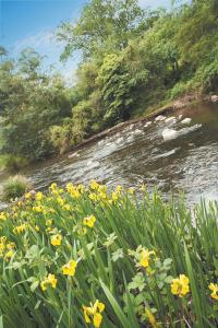 Grange Yarra Valley - Accommodation Burleigh 4