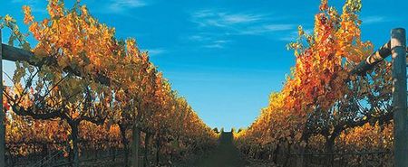 Nagambie Lakes Leisure Park - Accommodation Burleigh 5