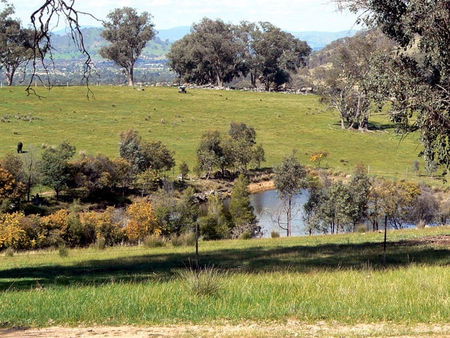 Gaddleen Grove Cottages - Accommodation Burleigh 3