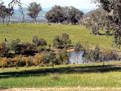 Gaddleen Grove Cottages - Accommodation Burleigh 5