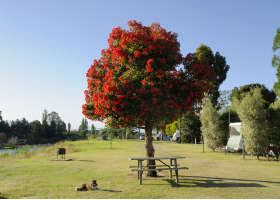 Stratford On The River Tourist Park - Accommodation Burleigh 2