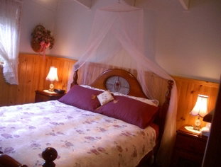 Alfay Cottage - Accommodation Burleigh 1
