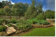 Peppermint Springs Retreat & Day Spa - Accommodation Burleigh 2