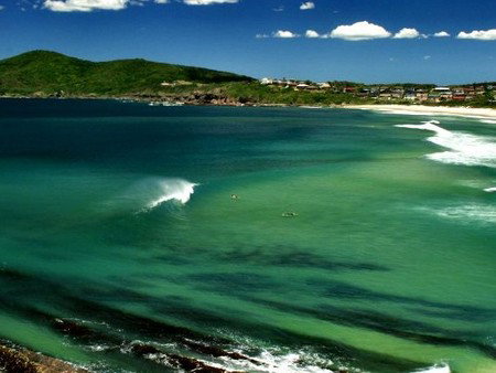 Forster Beach Holiday Park - Accommodation Burleigh 1