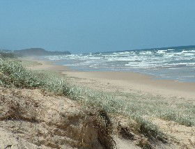 Beachcomber Peregian Beach - Accommodation Burleigh 4