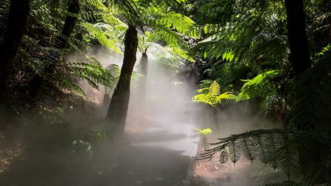 Australian National Botanic Gardens - Accommodation Burleigh 4