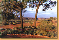 Kings Creek Station - Accommodation Burleigh 1
