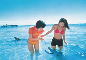  Accommodation Burleigh