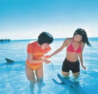 Kookaburra Air - Accommodation Burleigh