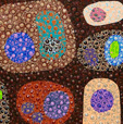 Turner Galleries - Accommodation Burleigh 0