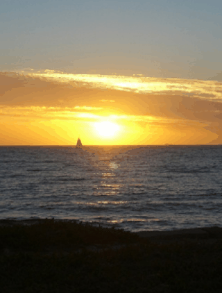 Kidogo Arthouse - Accommodation Burleigh 1