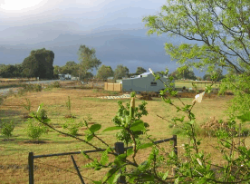 The House Of Honey - Accommodation Burleigh 2